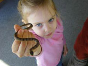 Ross Bay Preschool