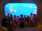 Ross Bay Preschool